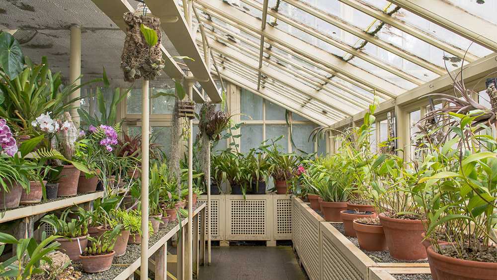 Un cuarto de cultivo con diferentes tipos de plantas: instale un aire acondicionado en el cuarto de cultivo para mantener un clima óptimo 