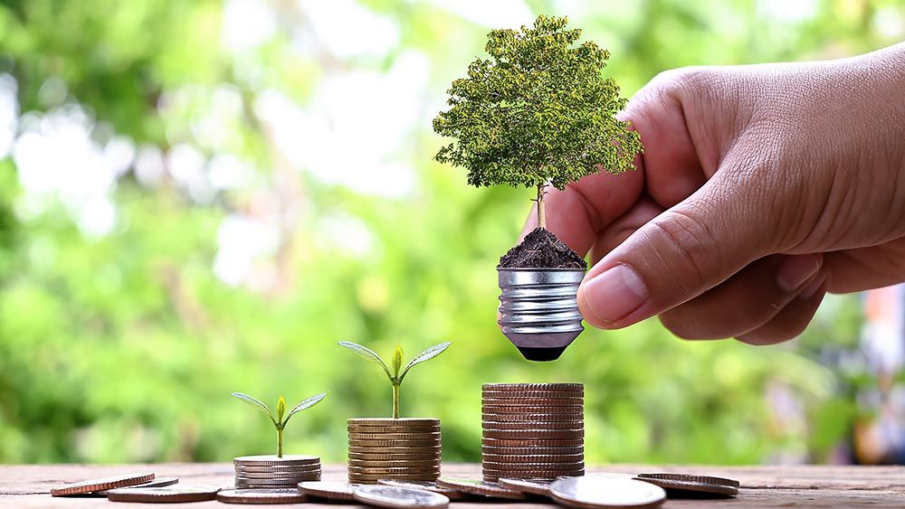Un árbol pequeño y una bombilla junto con monedas para demostrar el ahorro de energía